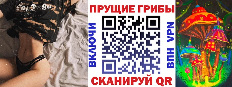 Купить закладки  Ипатово  Псилоцибиновые грибы Cubensis 